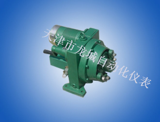 DKJ-310YMType Moulde Integration Electrical Actuator
